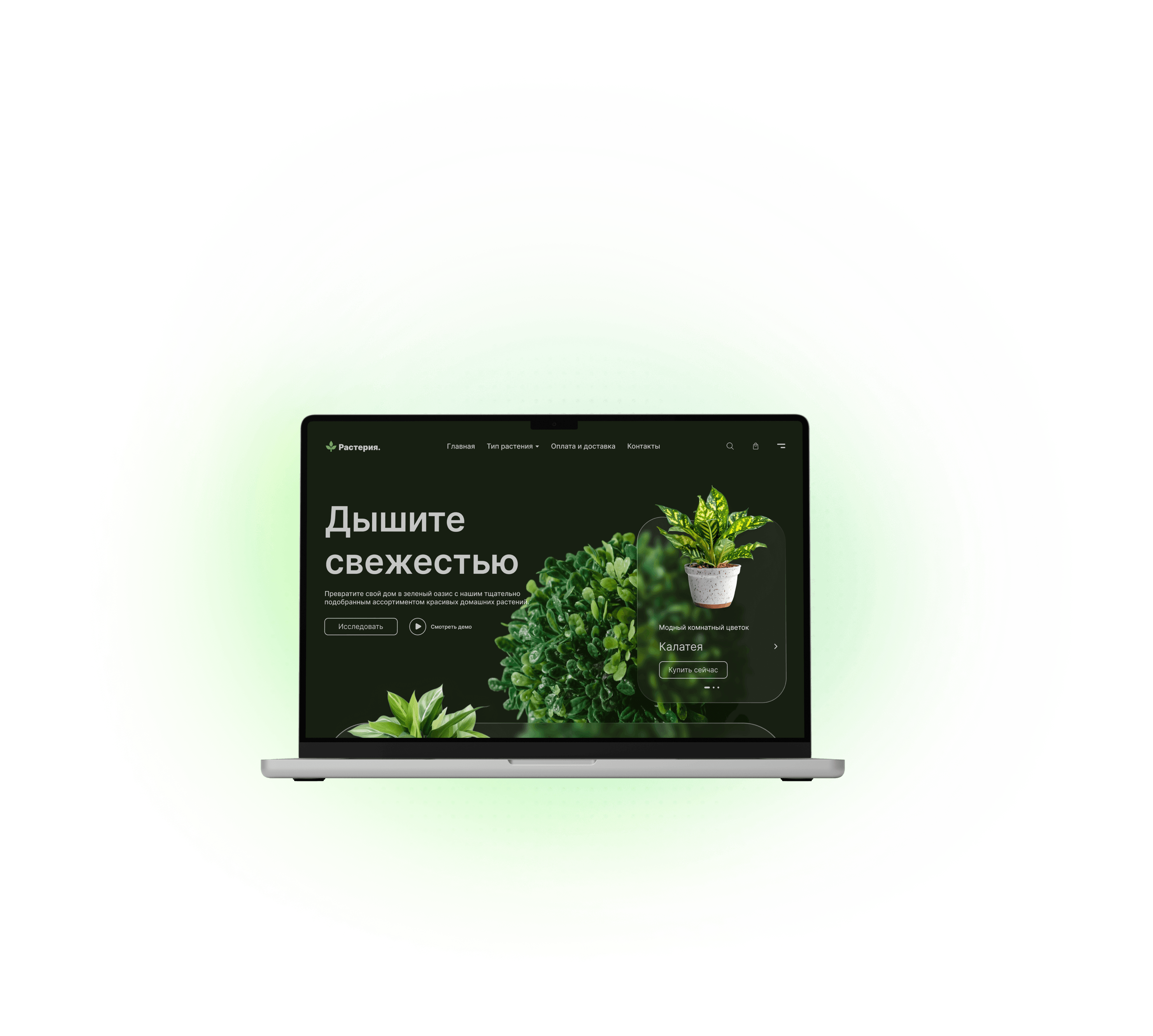 Разработка лендинга