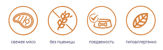 Безымянный.png
