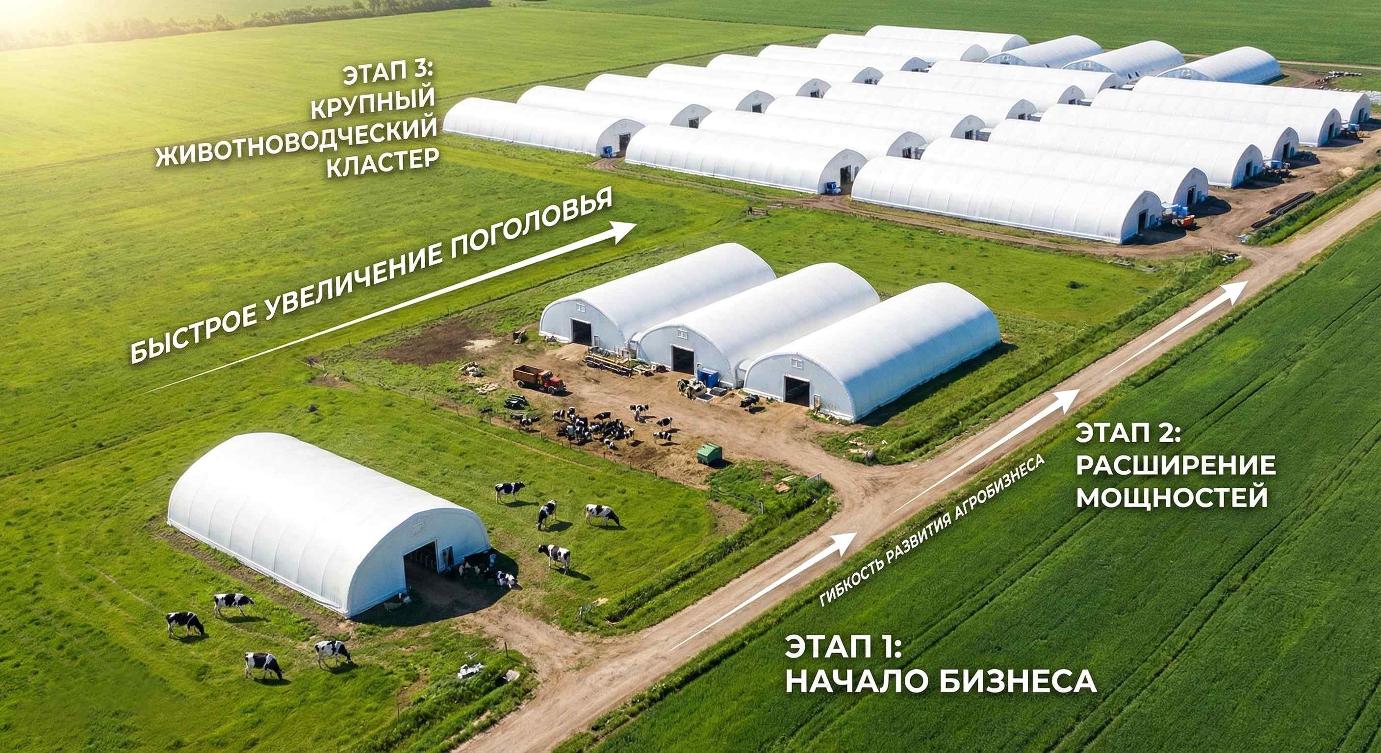 Масштабируемость агрохолдинга - поэтапное развитие