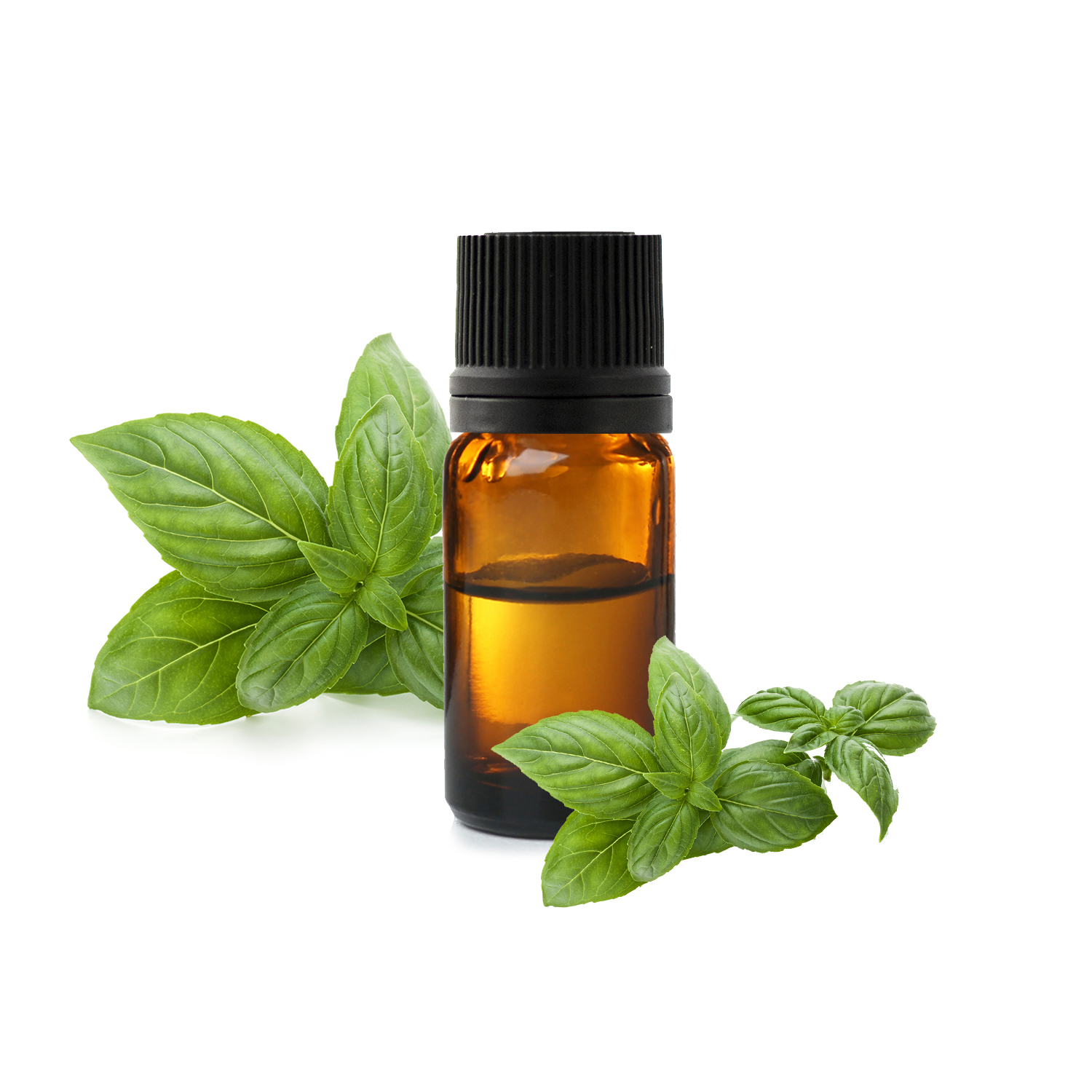 базилик с линалоолом базилик с линалоолом.jfif