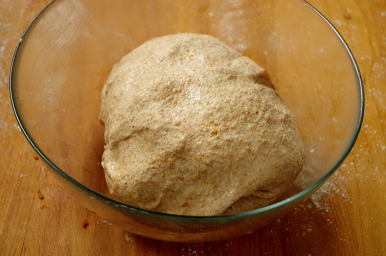 тесто в начале ферментации