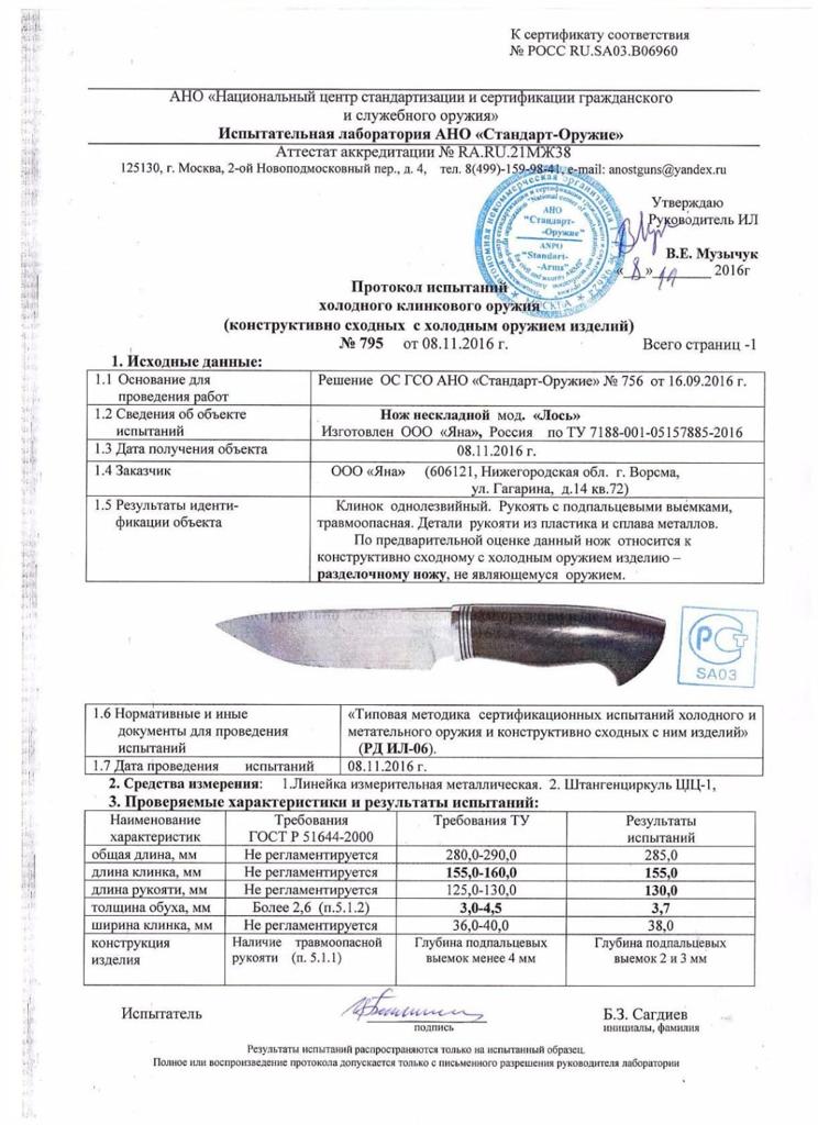 Лось.jpeg
