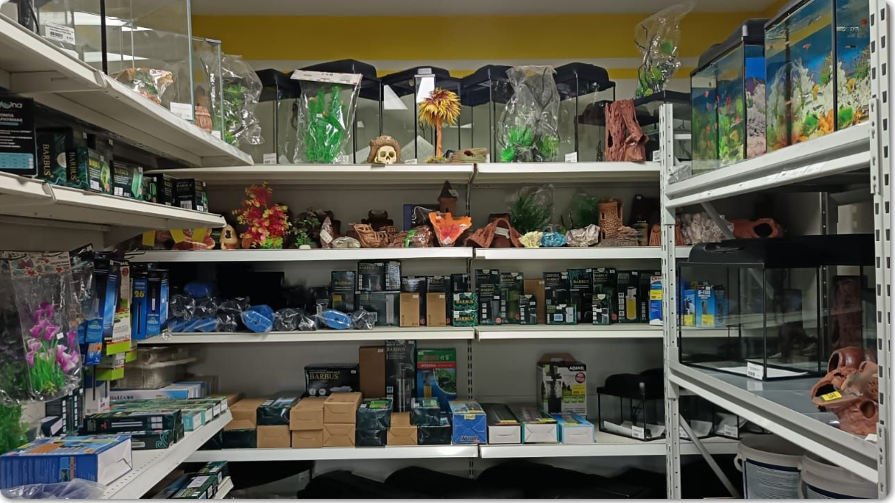 аквариумистика аквариумистика.png