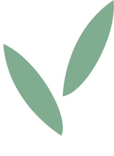 Logo Tutumi Home (1) — копия.png