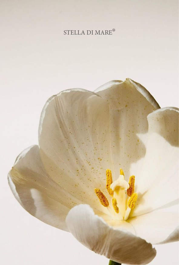 Flower #1
