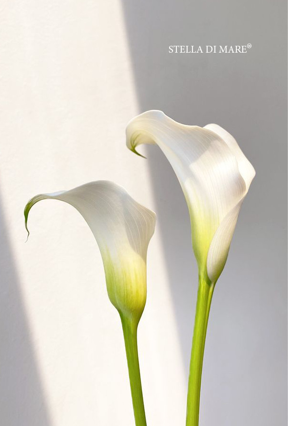 Flower #2