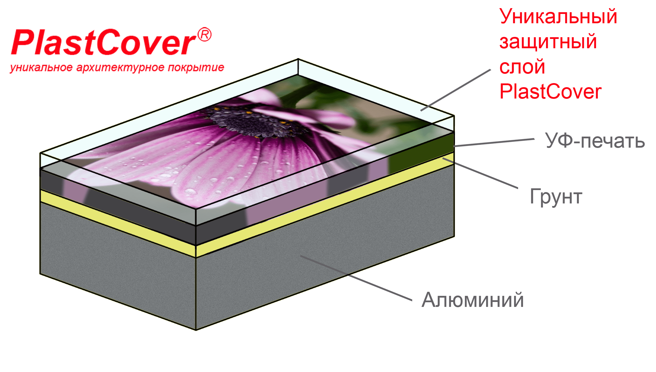 Схема многослойного покрытия PlastCover для алюминиевых листов
