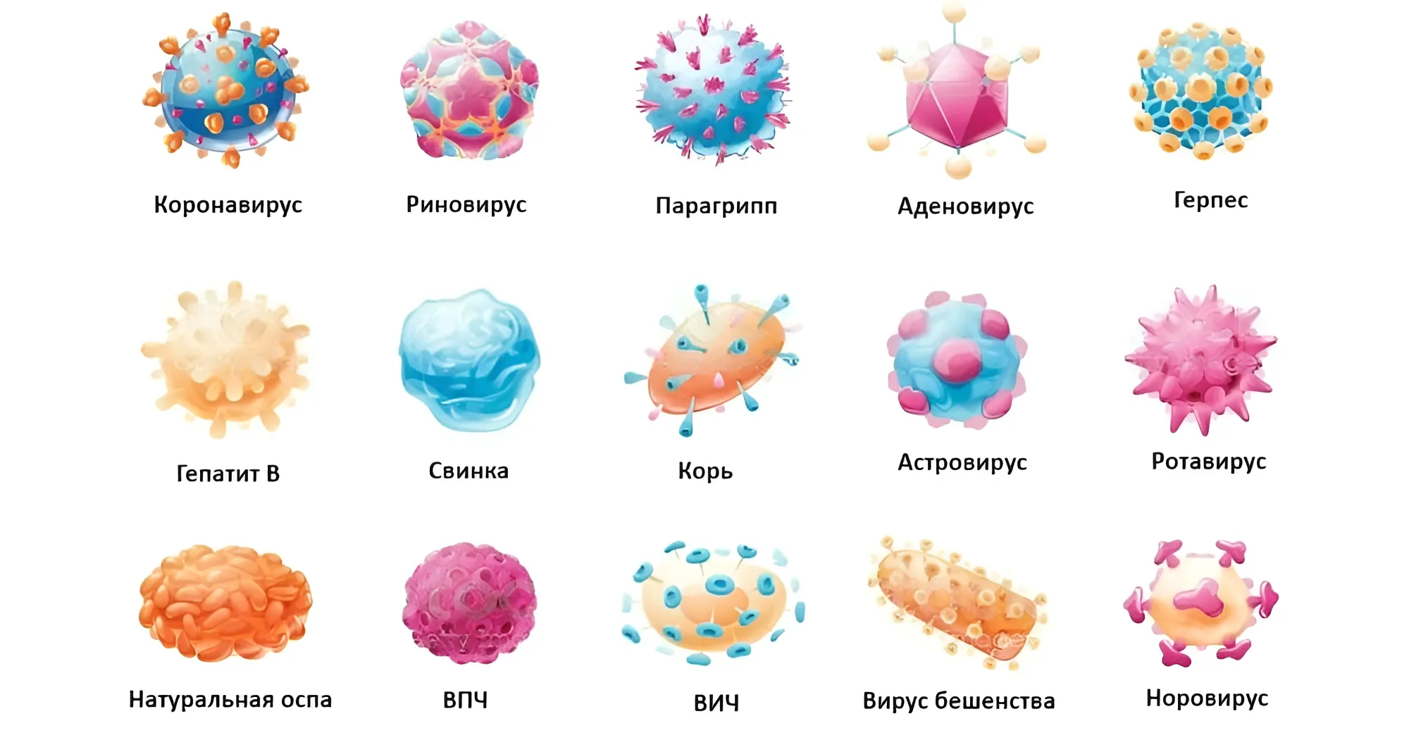 Профилактика вирусных заболеваний | Основные меры и способы