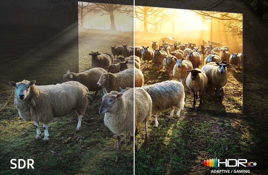 kz_ru-feature-lifelike-colors-and-contrast-for-an-8k-screen-546143698 — крупный размер.jpeg