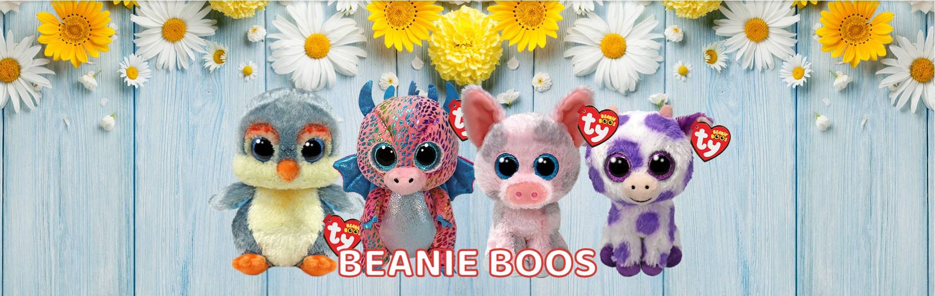 Beanie_Boos_Banner_June__1717731731.jpg