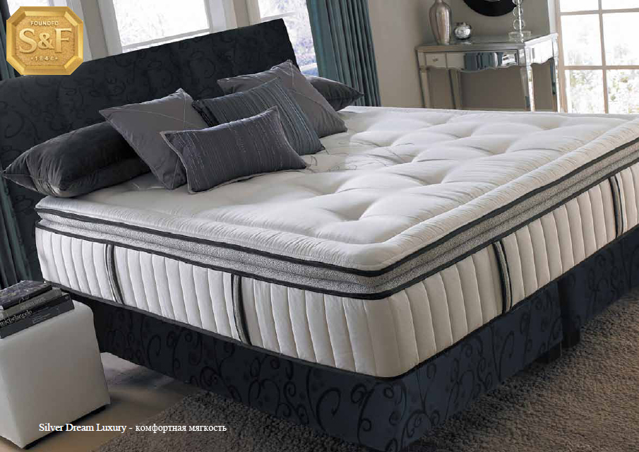 silver_dream_luxuary1(1).jpg