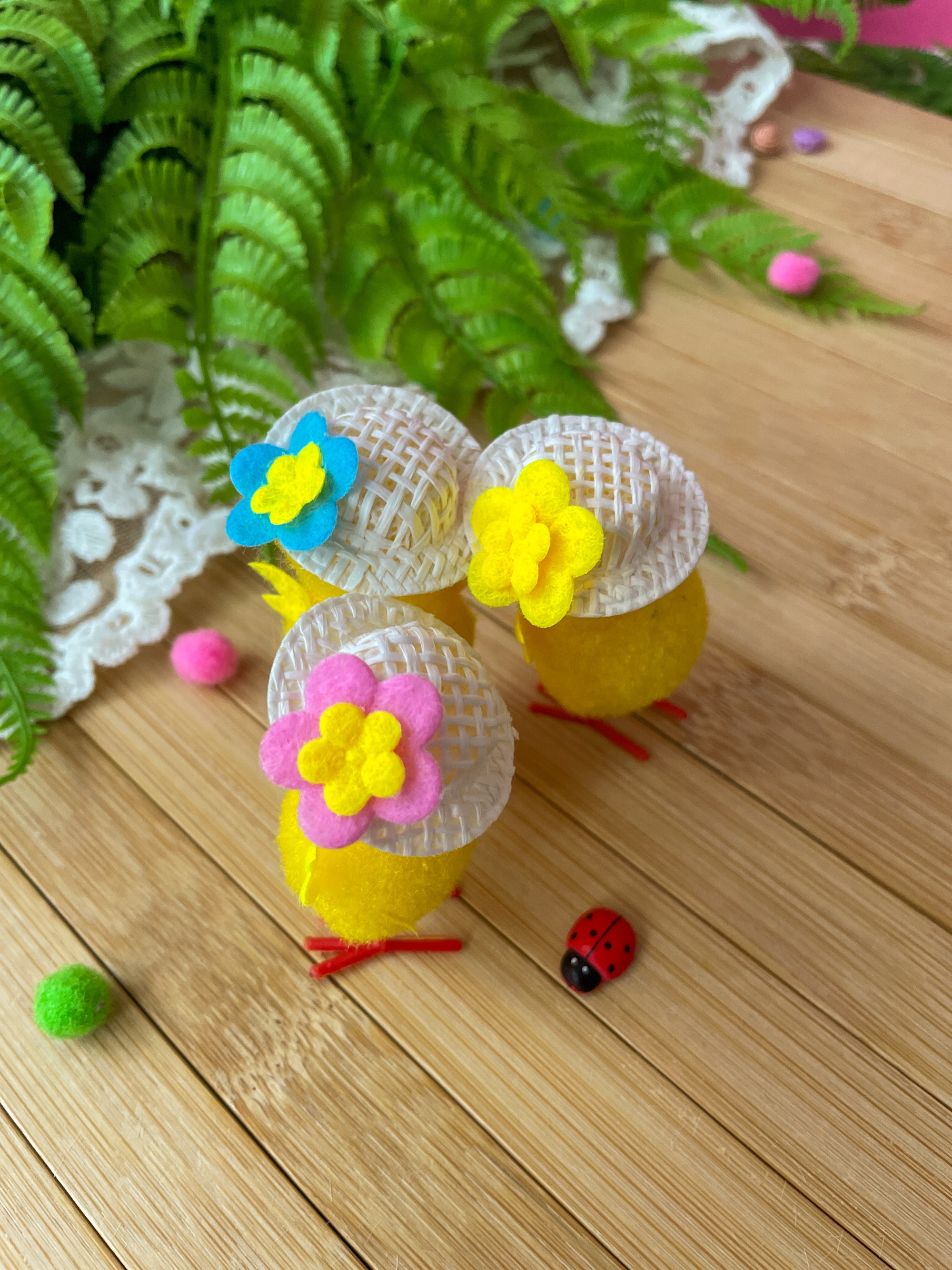 IMG_8398 IMG_8398.jpg