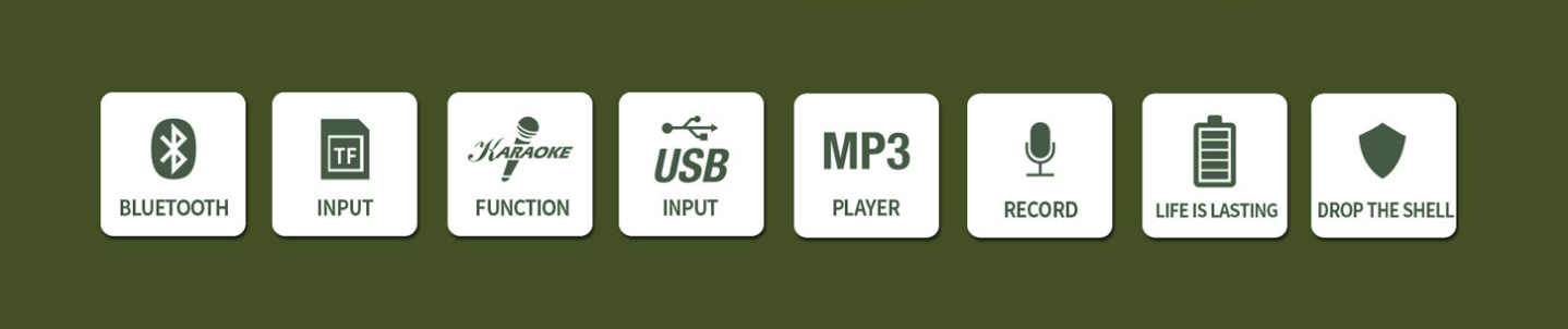 REMAX RB-X5 50W Outdoor karaoke Bluetooth 50 Ватт 6 часов без Черный