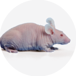 3 ноября 2020 3.png