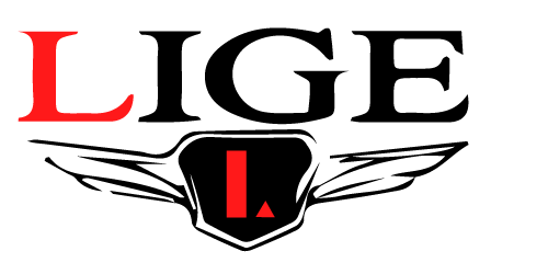 Купить наручные часы LIGE по низкой цене в интернет-магазине часов LiveWishes