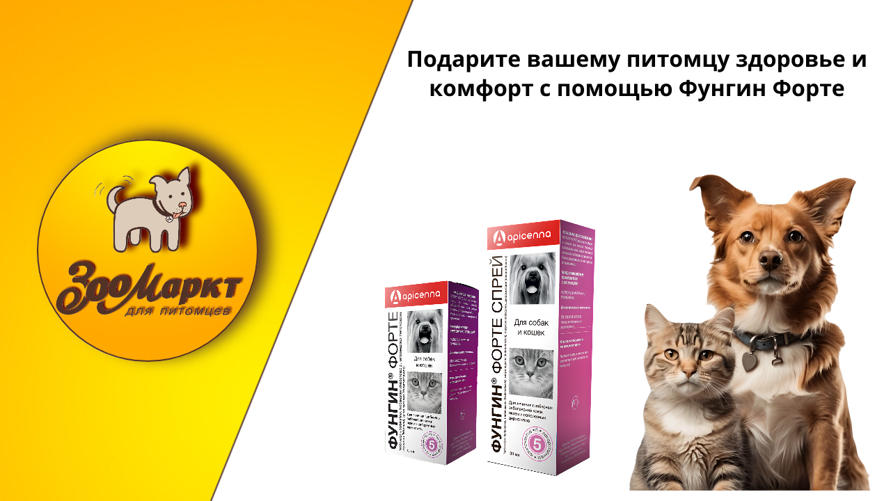 для статьи для статьи.png