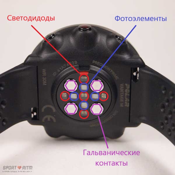 Элементы пульсометра Polar Vantage M