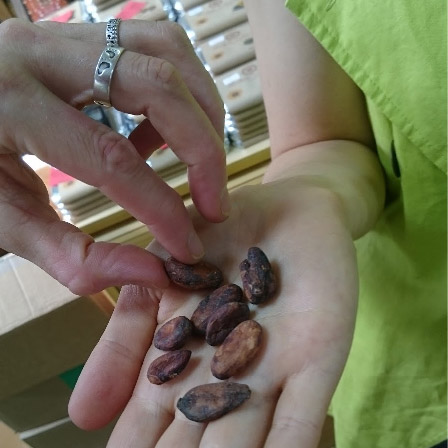 Какао-бобы в И-МНЕ