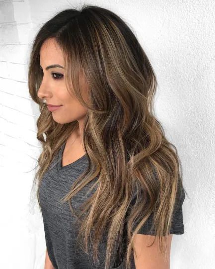 1-brunette-hair-with-light-brown-highlights.jpeg