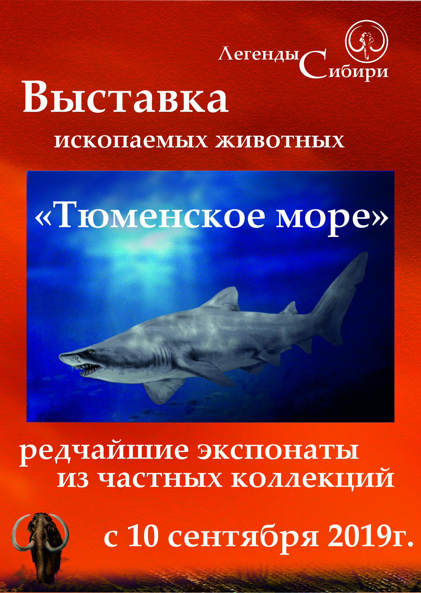 Легенды Сибири, тюменское море, выставка, выставки в тюмени, что подарить, магазин сувениров, магазин подарков, зубы акул