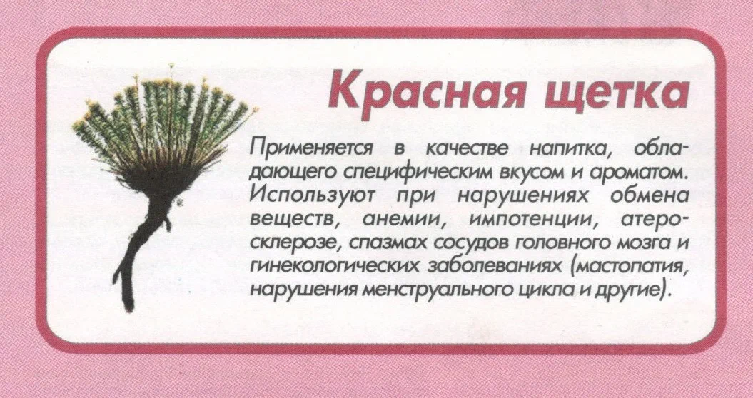 Красная щетка для чего