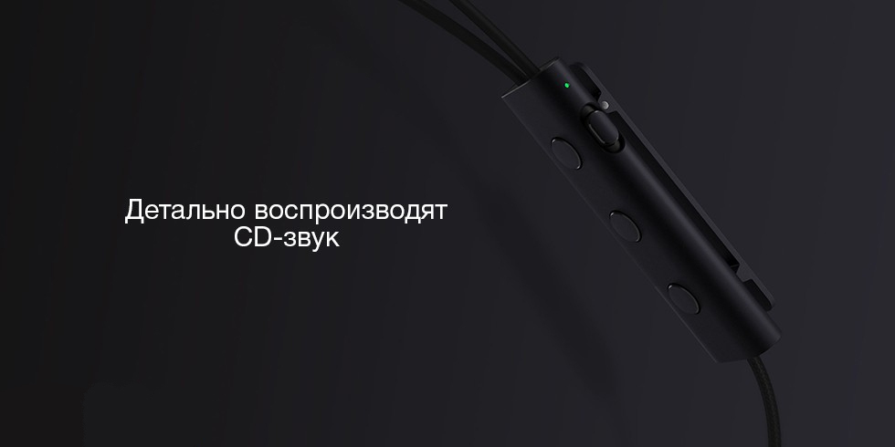 Xiaomi Mi Noise Cancelling Earphones