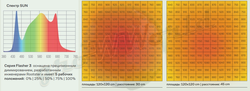 Sun Спектр + Пар 30 и 45 см.webp