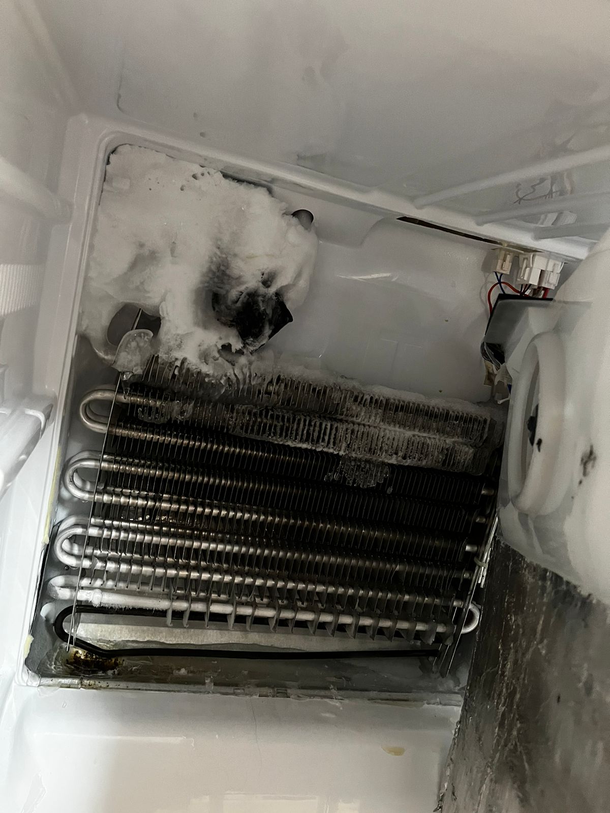Ремонт холодильника lg в казани