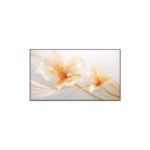XGIMI 100 UST ALR Screen