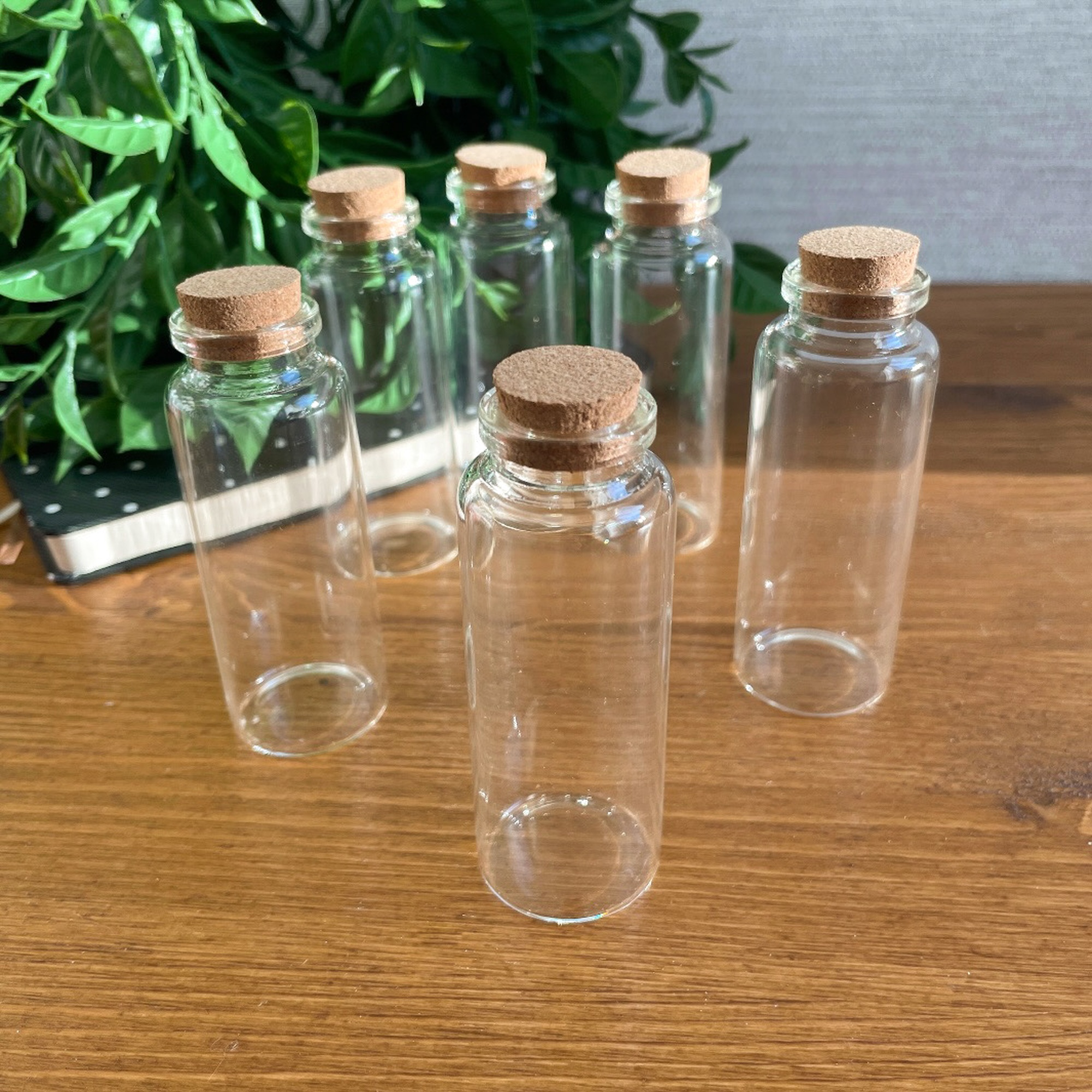 IMG_4249 IMG_4249.jpg