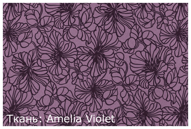 Amelia Violet.jpg