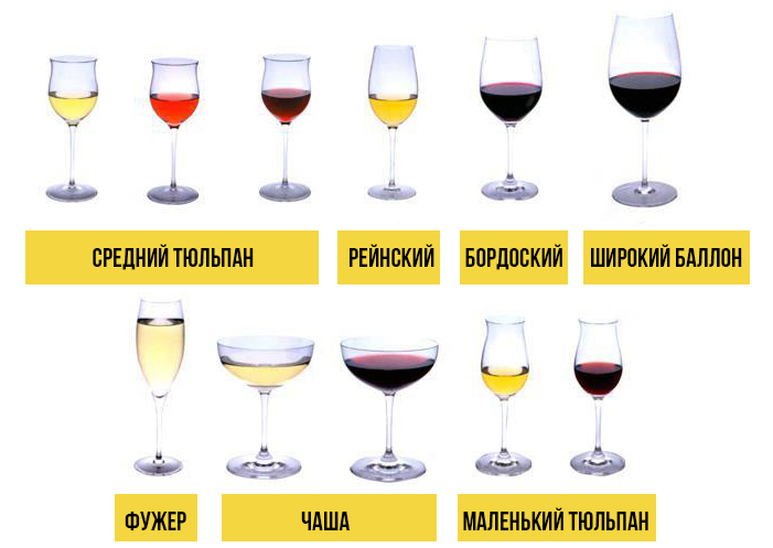 Как выбрать бокалы для вина