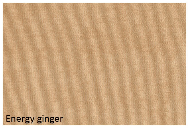 energy_ginger.jpg