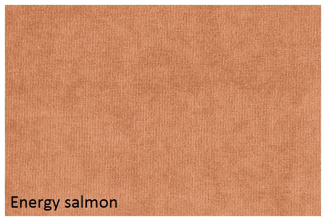 energy_salmon.jpg