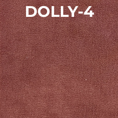 Dolly-4.jpeg