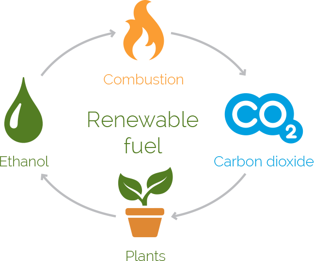 bio-ethanol-diagram-large.png