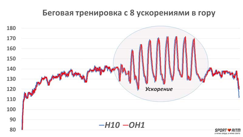 График сравнения значений пульса на Polar H10 и Polar OH1