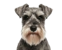 Отличное пищеварение