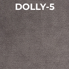 Dolly-5.jpeg