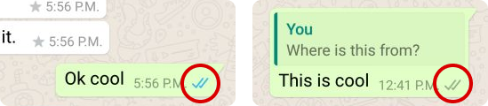 Cara menghilangkan centang biru di WhatsApp