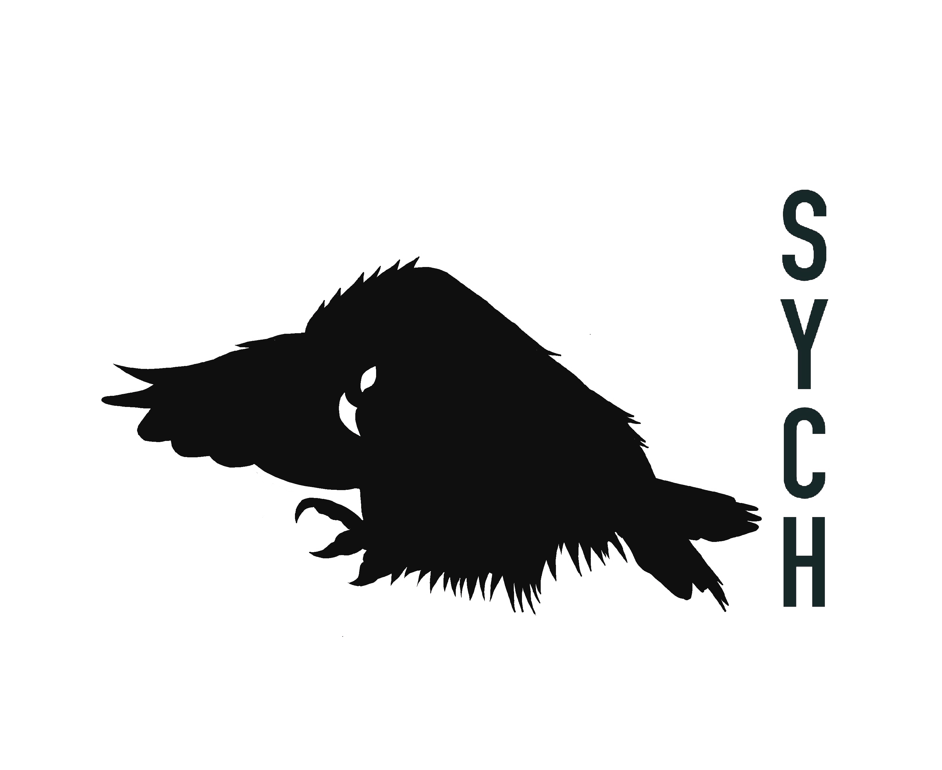 Sychshop - Качественная и стильная одежда