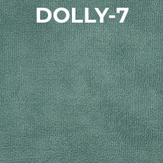 Dolly-7.jpeg