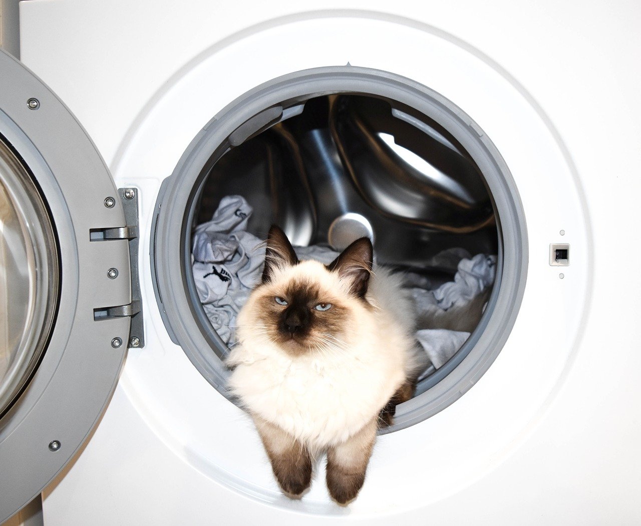 Как почистить стиральную машину с фронтальной загрузкой