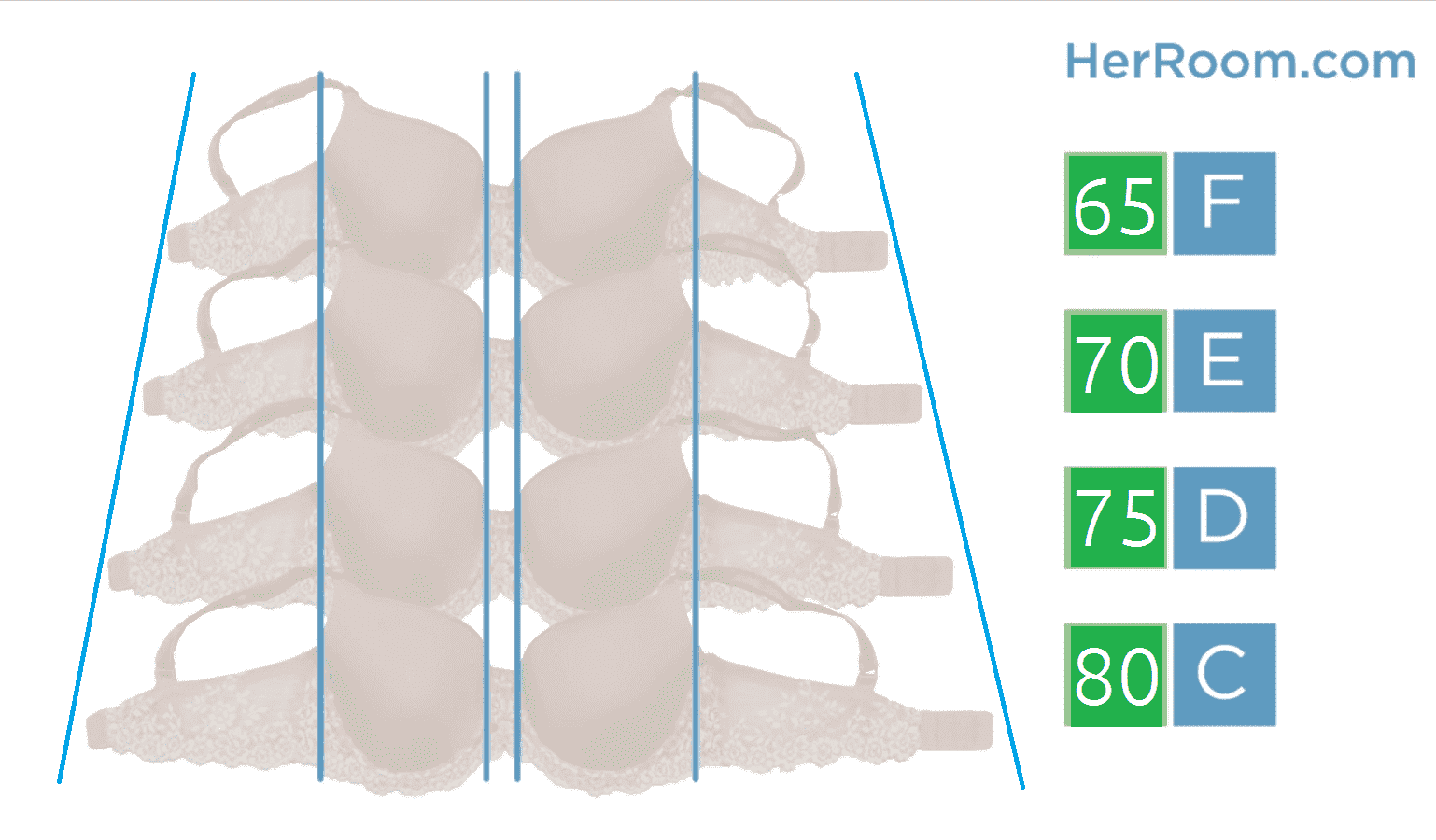 Градация размеров бюстгальтера