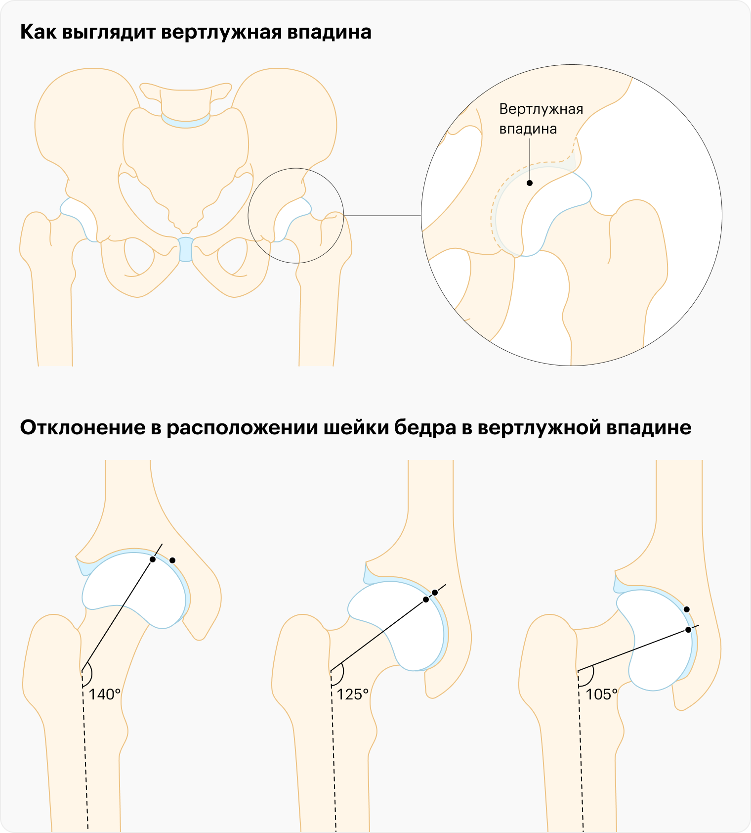 Тазовые кости.png