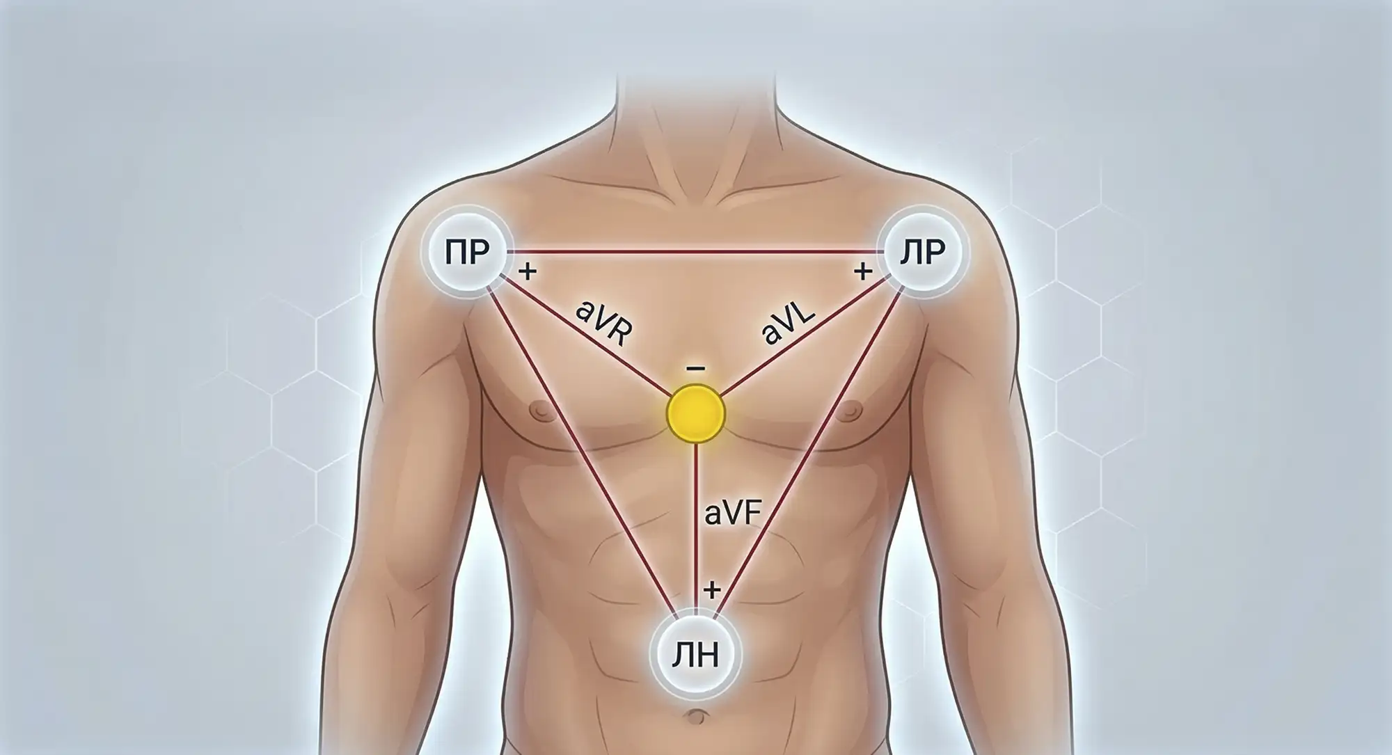 usilennye-otvedeniya
