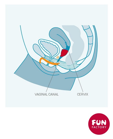 Как установить чашу Fun Cup