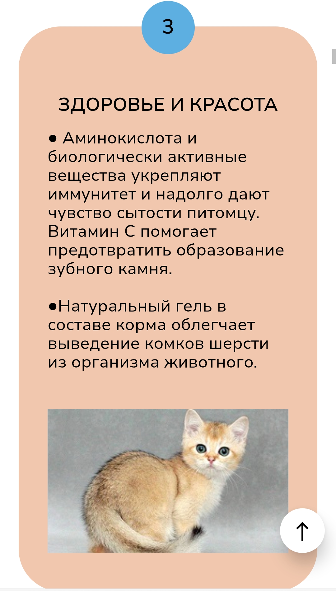 1000081082 1000081082.jpg