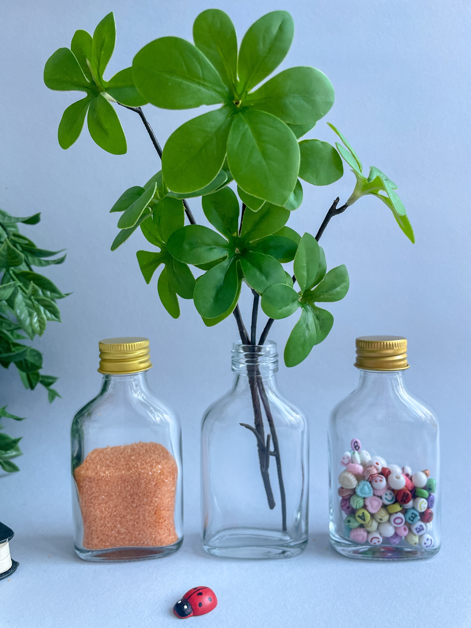 IMG_8147 IMG_8147.jpg