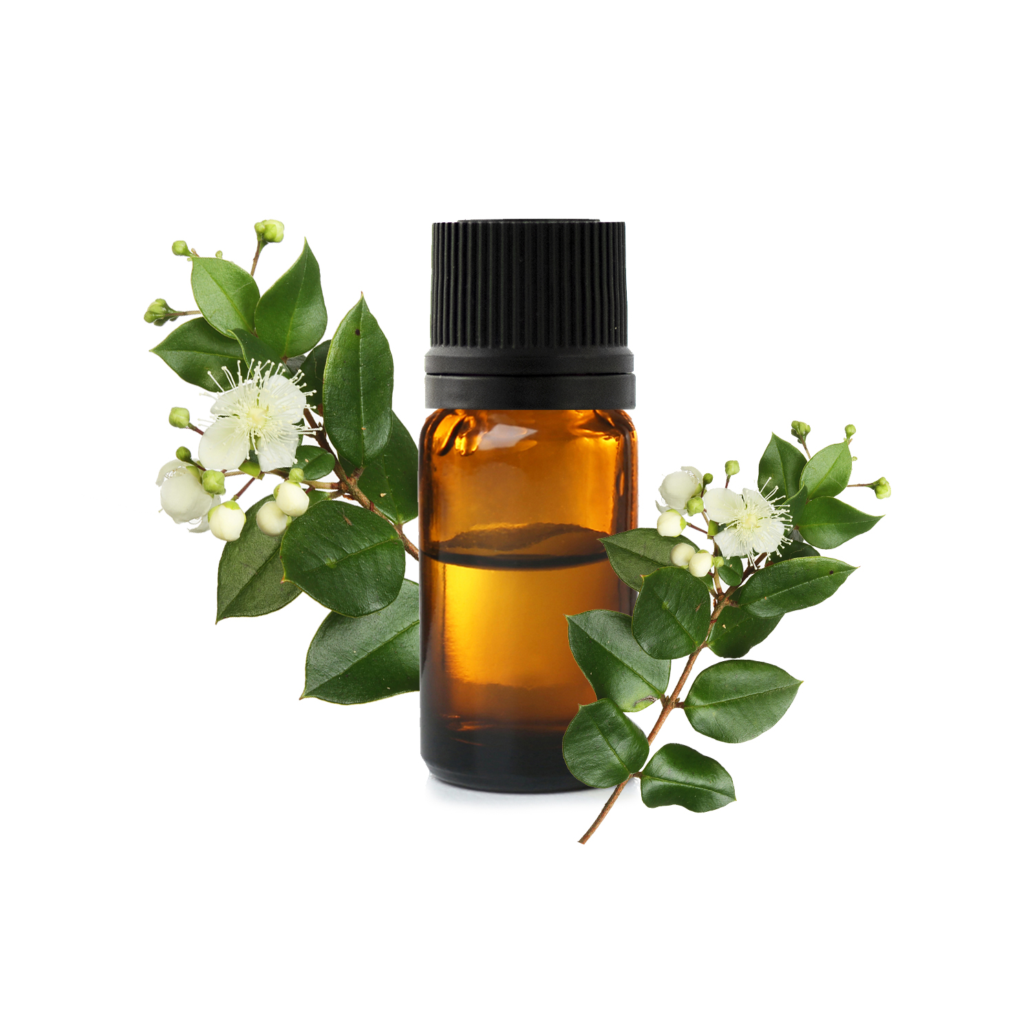 Красный Мирт.jfif